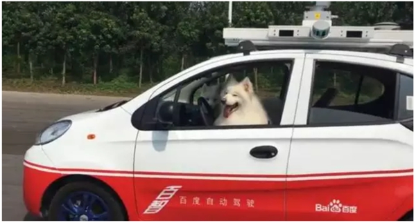 國內(nèi)外無人駕駛是什么水平？